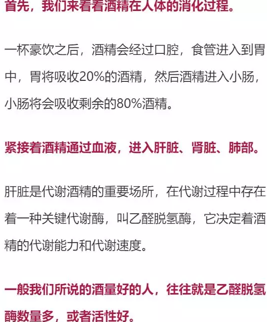 喝多少酒開車算酒駕？喝完酒多久能開車？這組數(shù)據(jù)，都說明白了